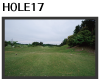 HOLE.17